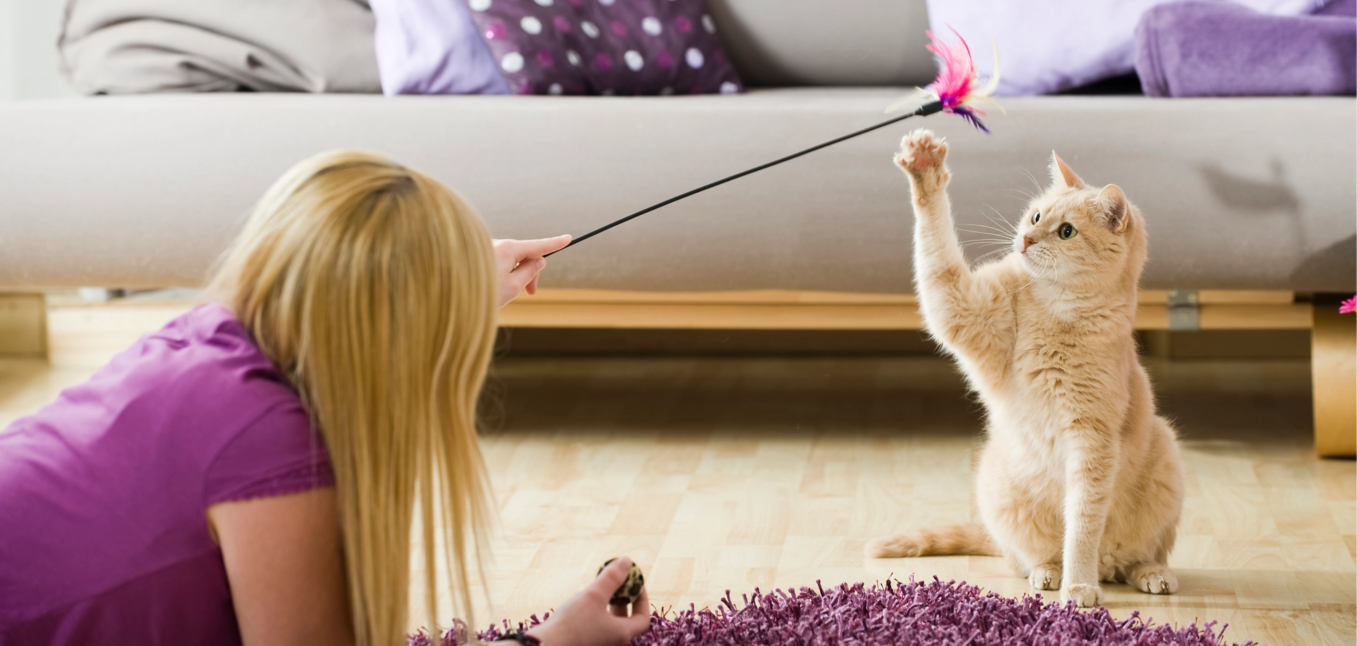 Image Gallery tec-nut.com for A1 Pet Sitter - Pet sitting services, Website Builder, Cat sitting, Best Website Builder, Free website template, Company Website, Tec-Nut.com Websites, Free Website, Pet sitter, New Company, New Website, Overnight pet care